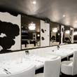Gaucho Chancery